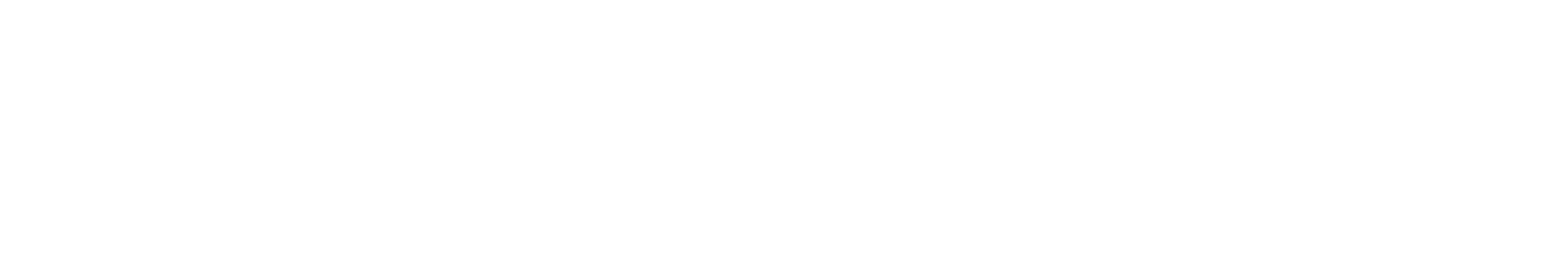 Director Creativo
